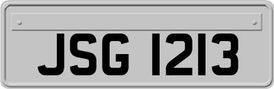 JSG1213