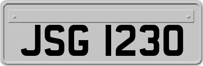 JSG1230
