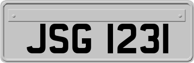 JSG1231