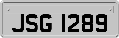 JSG1289