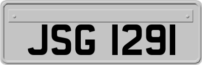 JSG1291
