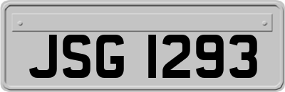 JSG1293