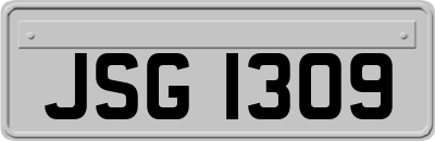 JSG1309