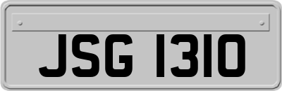 JSG1310