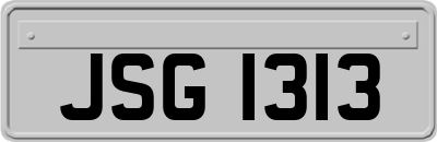 JSG1313