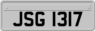 JSG1317