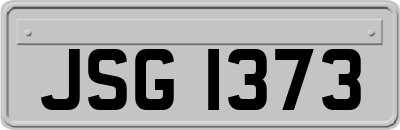JSG1373