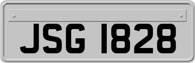 JSG1828