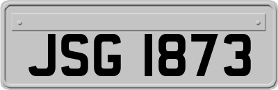 JSG1873