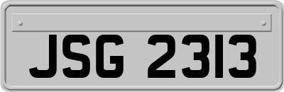 JSG2313