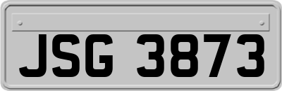 JSG3873