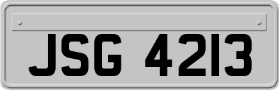 JSG4213
