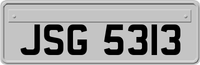 JSG5313