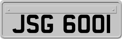 JSG6001