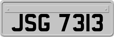 JSG7313