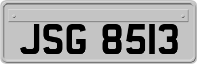 JSG8513