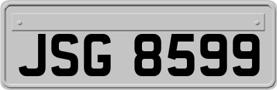 JSG8599