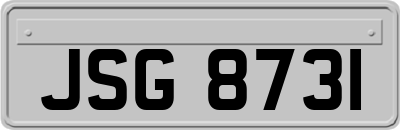 JSG8731