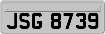 JSG8739