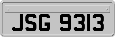 JSG9313