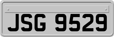 JSG9529