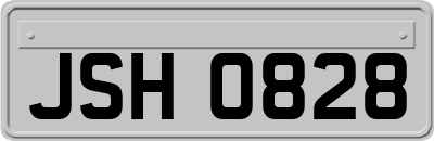 JSH0828