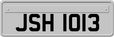 JSH1013