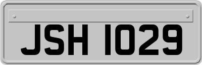 JSH1029