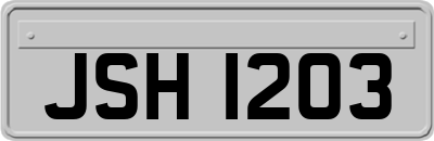 JSH1203