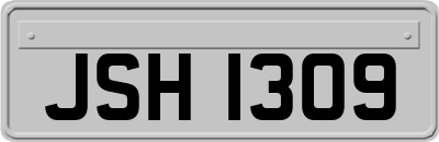 JSH1309