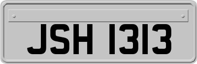 JSH1313