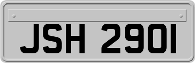 JSH2901
