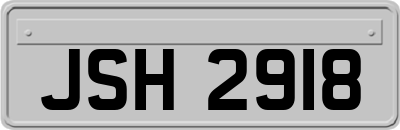 JSH2918