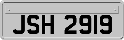 JSH2919