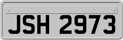 JSH2973