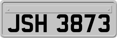 JSH3873