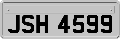 JSH4599