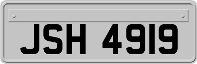 JSH4919