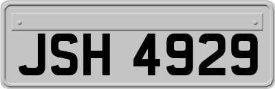 JSH4929