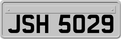 JSH5029