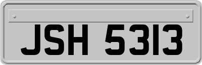 JSH5313