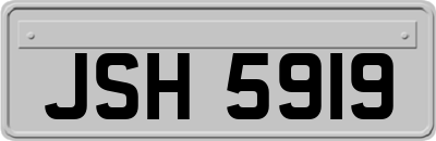 JSH5919