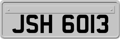 JSH6013