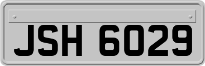 JSH6029