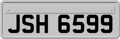 JSH6599