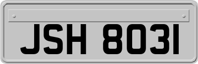 JSH8031