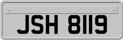 JSH8119