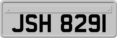 JSH8291