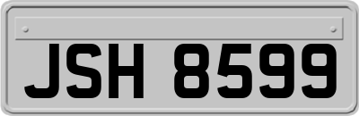 JSH8599