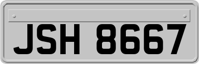 JSH8667